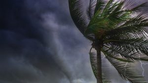 Business Prime News-Yaas_suggestion_life-image