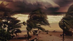 Yash-Alart-Web-image