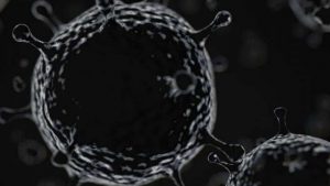business prime news-Mucormycosis-an-epidemic
