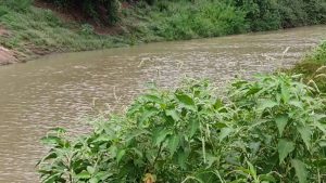 Business Prime News-River-kunoor-is-overflowing,-villagers-are-tensed