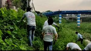 Business Prime News--Poisonous-Parthenium-tree-destroying-campaign-in-world-environment-day