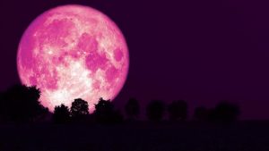 Business Prime News-STRAWBERRY_MOON