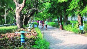 Business Prime News-Fruit-tree-plantation-for-the-birds-by-KMC
