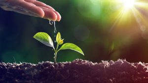 Business Prime News-Home-Plant