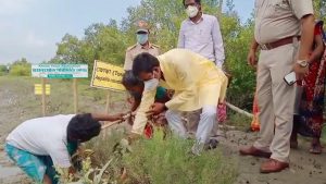 Business Prime News-mangrove_porichiti_kendra_in_canning