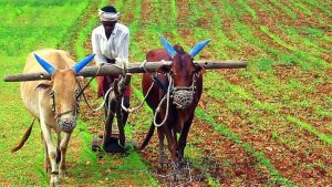 Business Prime News-Farmers_Facilities