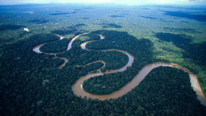 Business Prime News-AMAZON_FOREST_BRAZIL