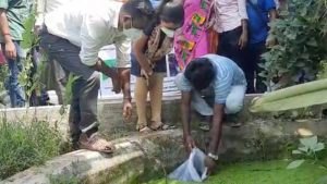 Business Prime News-GAPPI FISH_ANTI DENGUE