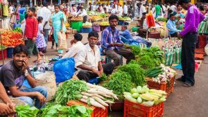 Business Prime News-Vegetable price_Century crossed