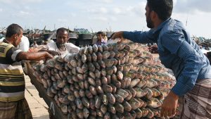 Business Prime News-Hilsa_Bangladesh