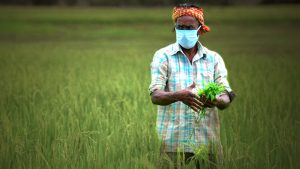 Business Prime News-Grim_Picture_Agriculture