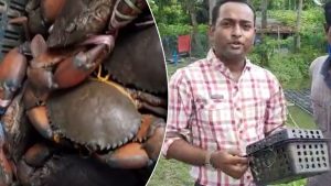 Business Prime News-crab_farming_in_midnapore_