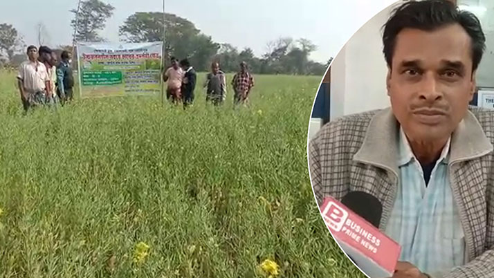 business_prime_news_OILSEED_FARMING_AGRI_DEPARTMENT_