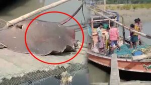 business_prime_news_Sankar_Fish_159kg
