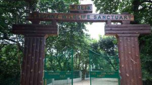 Business_prime_news_KULIK-BIRD-SANCTUARY_RAIGUNJ